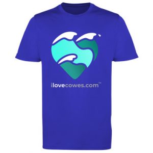 Men's t-shirt royal blue large logo